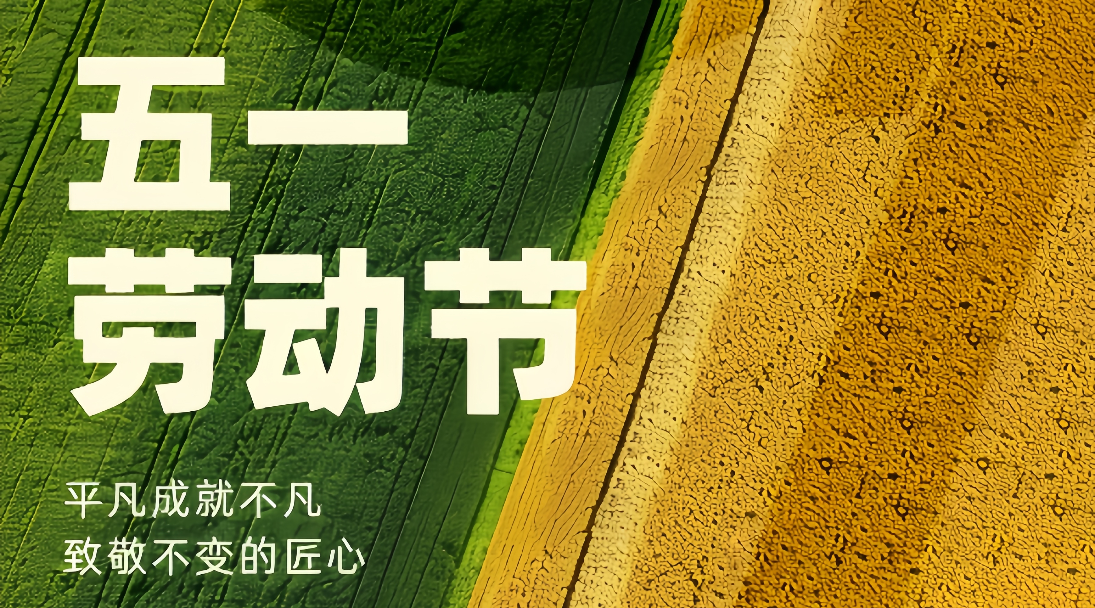 五一劳动节，致敬每一份付出